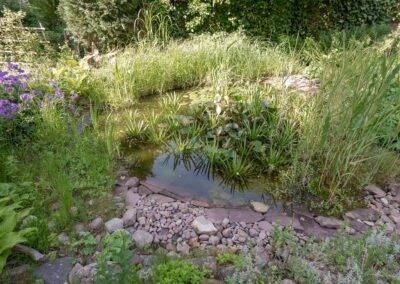 Gartenteich