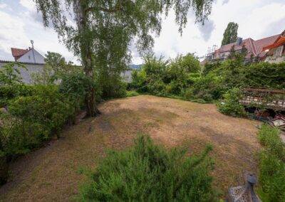 Blick in den Garten
