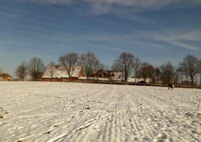 Winterimpression