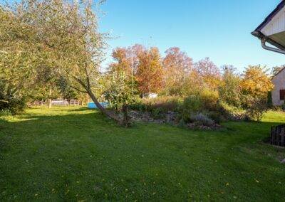 Blick in den Garten